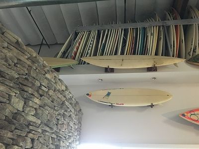 HonshaReport8 - SHOP NEWS | ムラサキスポーツオンラインストア 通販