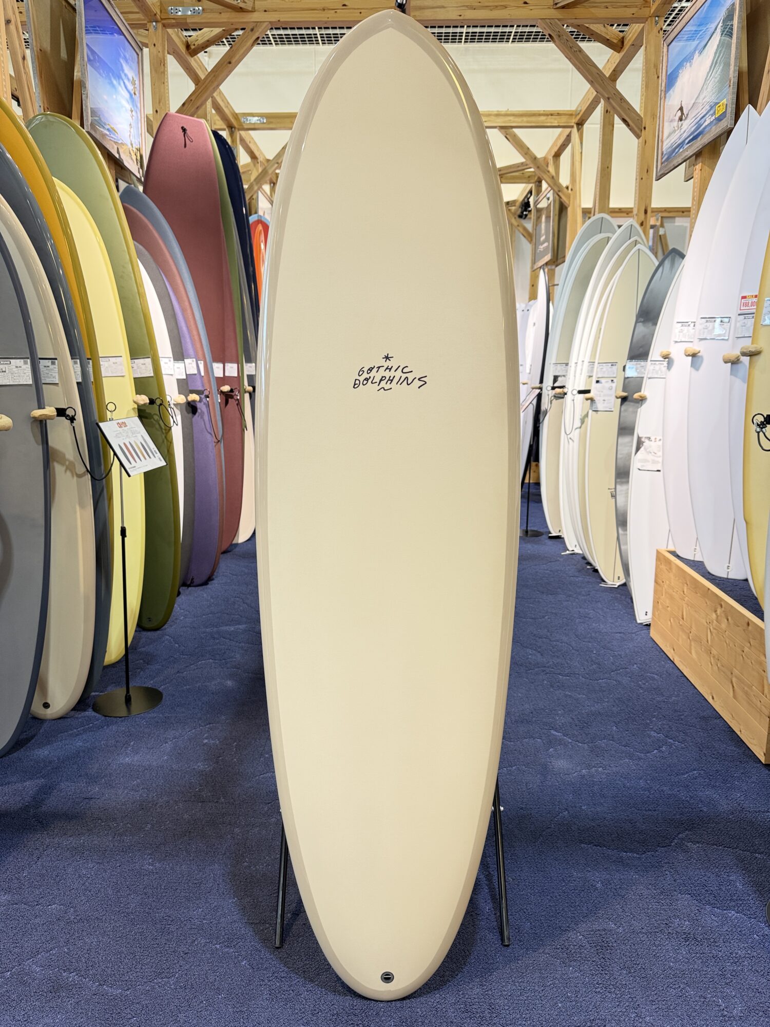 IMG_4049 - SHOP NEWS | ムラサキスポーツオンラインストア 通販 Cream-colored longboard surfboard standing upright in a showroom, with rows of colorful boards on racks around it and a Gothic Dolphins logo on the front.