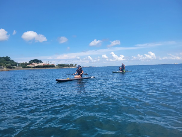 Two people stand-up paddleboarding on calm blue water near a shoreline under a sunny sky.