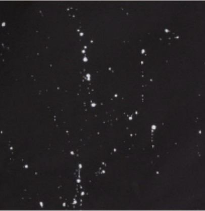 Dark night sky scattered with small bright stars like a star field.
